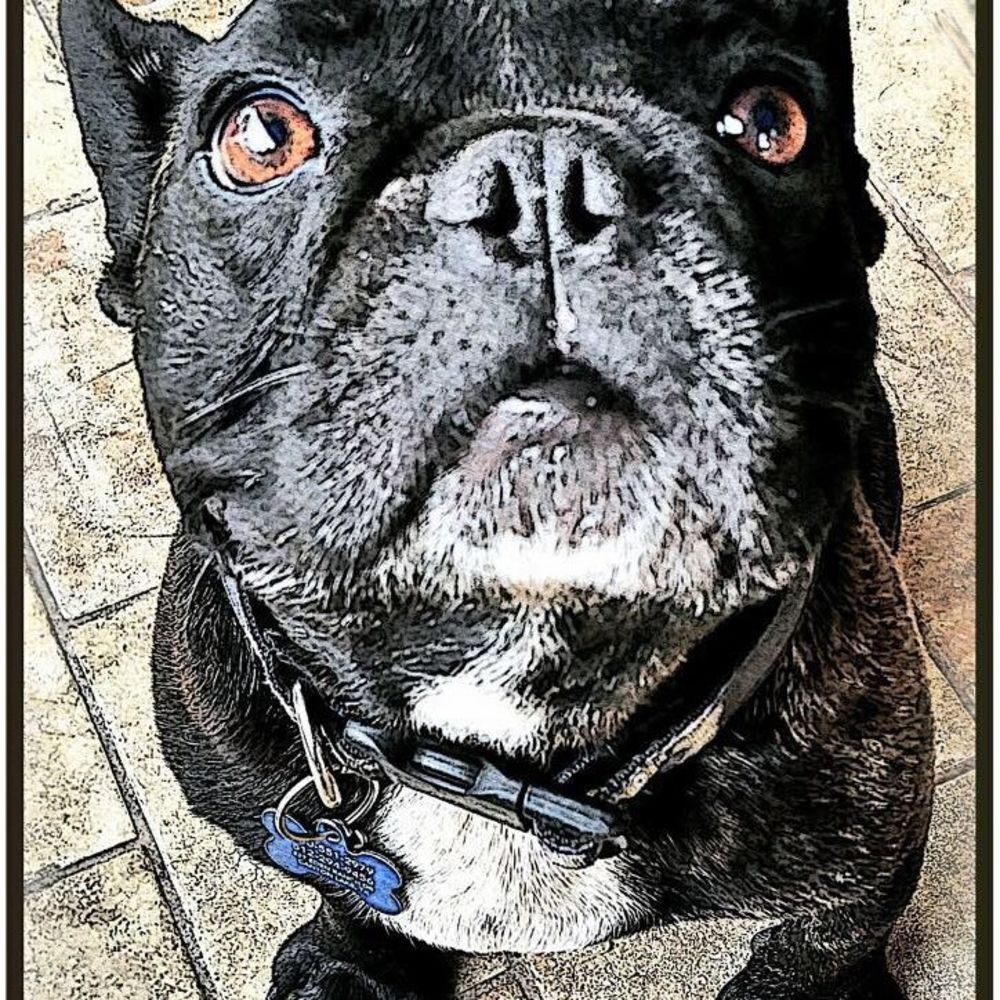 Meet your Posher, Dede